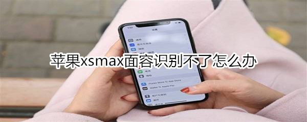 苹果xsmax面容识别不了怎么办