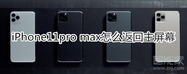 iPhone11pro max怎么返回主屏幕