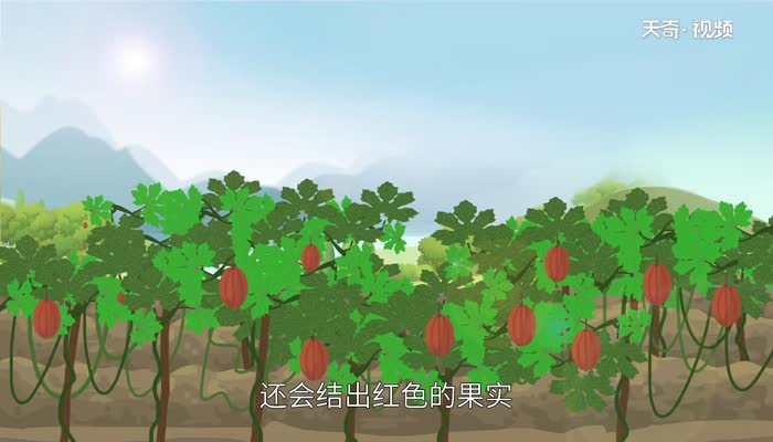 立夏三候是什么 立夏三候含义