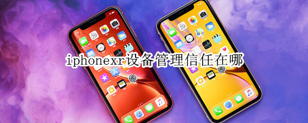 iphonexr设备管理信任在哪