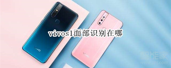 vivos1面部识别在哪