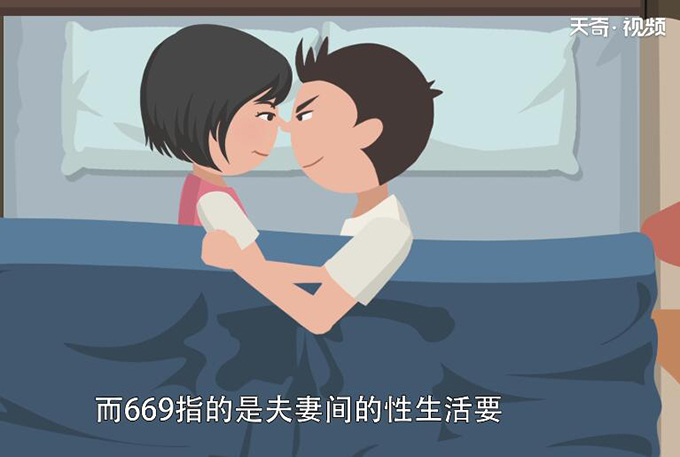 669是什么意思