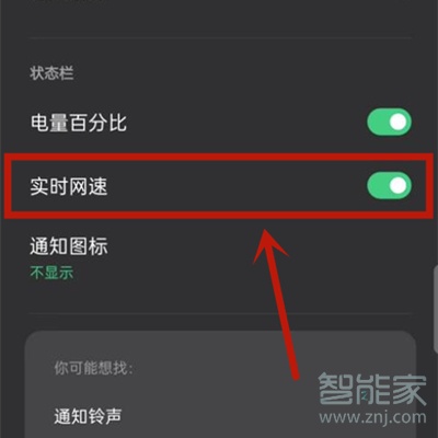 oppo显示实时网速在哪设置