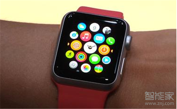 Apple Watch Series 5怎么重新设置密码