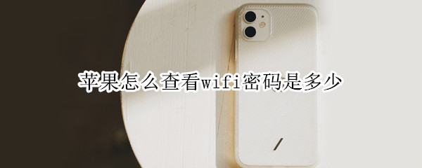 苹果怎么查看wifi密码是多少