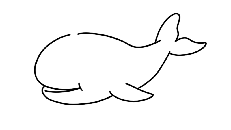 鲸简笔画