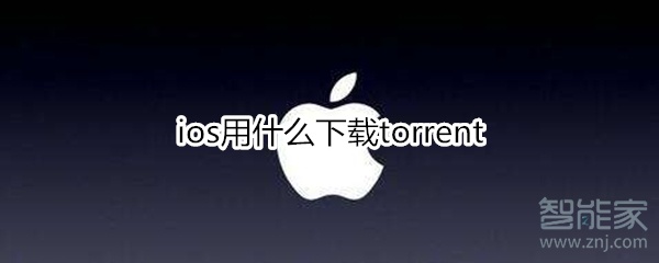 ios用什么下载torrent