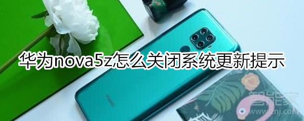 华为nova5z怎么关闭系统更新提示