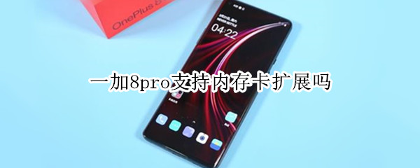 一加8pro支持内存卡扩展吗