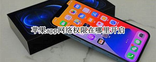 苹果app网络权限在哪里开启