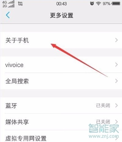 vivoy3开发者选项在哪里