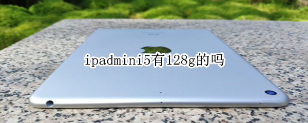 ipadmini5有128g的吗