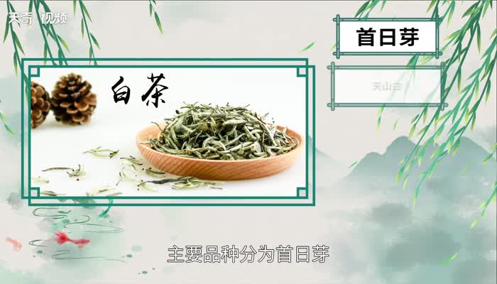 白茶有哪些 中国四大白茶