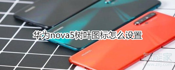 华为nova5树叶图标怎么设置