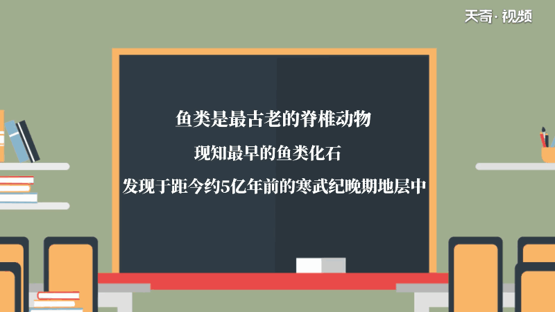 鱼的记忆力真的只有七秒吗 鱼的记忆力只有七秒吗