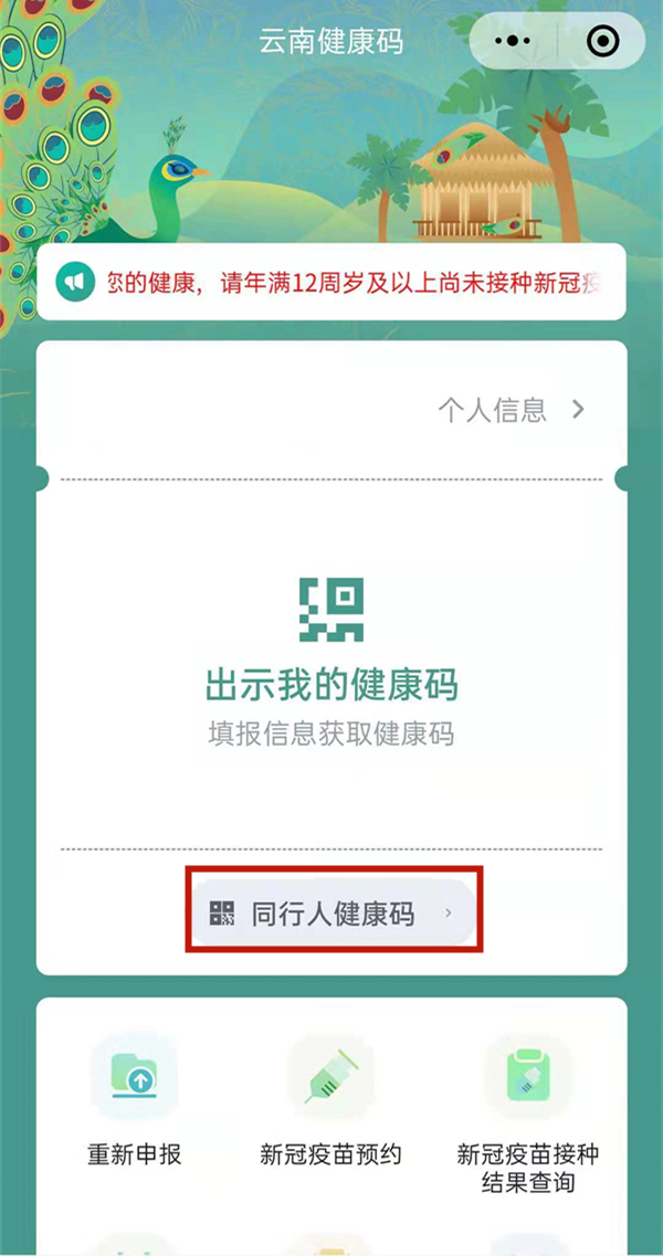云南健康码怎么替他人申请