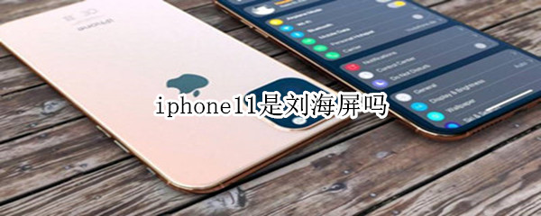 iphone11是刘海屏吗