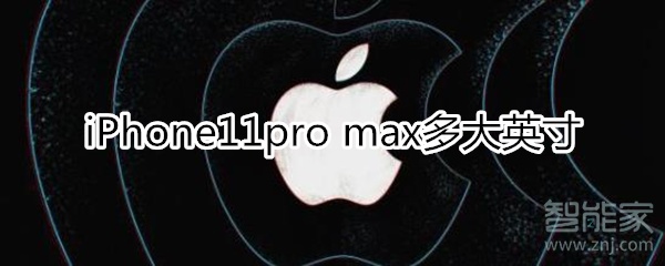 iPhone11max多大英寸