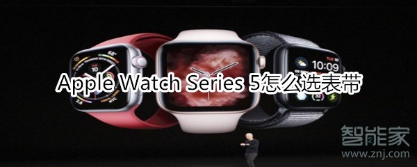 Apple Watch Series 5怎么选表带