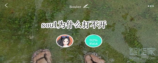 soul为什么打不开