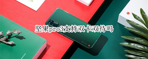 坚果pro3支持双卡双待吗