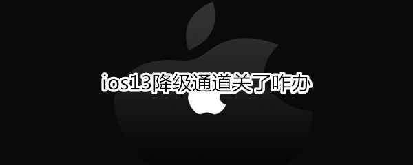 ios13降级通道关了咋办