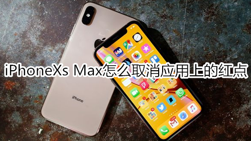 iPhoneXs Max怎么取消应用上的红点