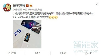 vivoz5支持快充吗