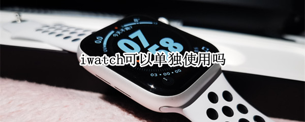 iwatch可以单独使用吗