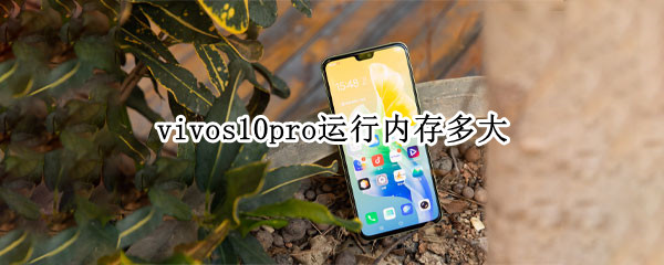 vivos10pro运行内存多大