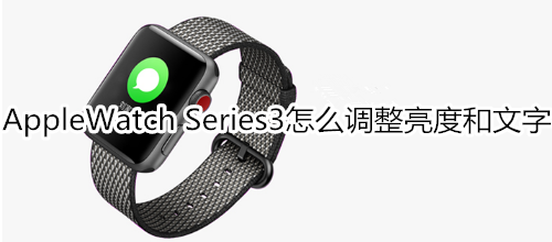 Apple Watch Series 3怎么调整亮度和文字