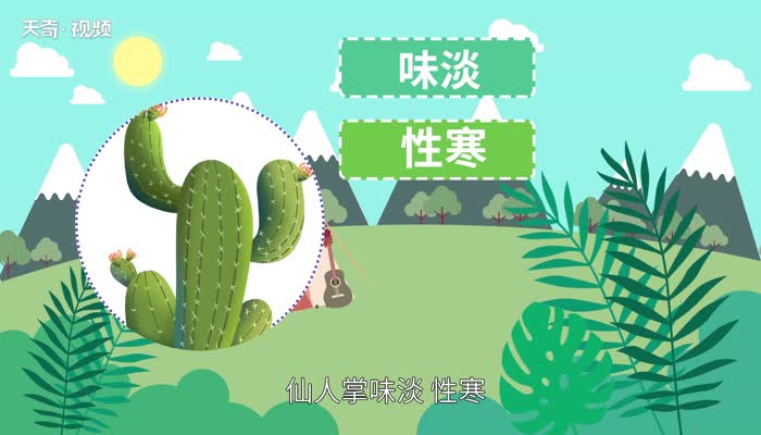 仙人掌的特点  仙人掌的介绍