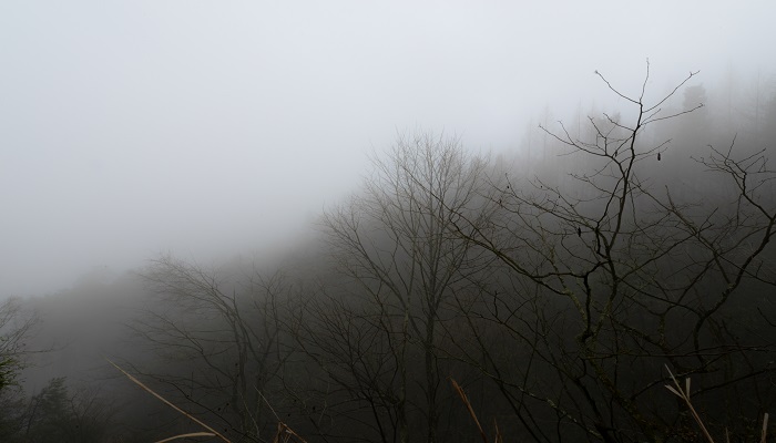 雾锁山头山锁雾清的下一句是什么? 雾锁山头山锁雾清的下一句