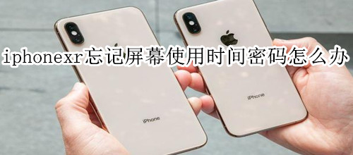 iphonexr忘记屏幕使用时间密码怎么办