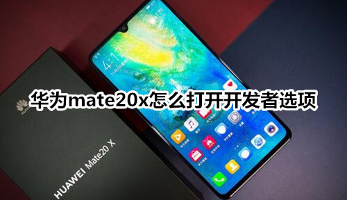 华为mate20x怎么打开开发者选项