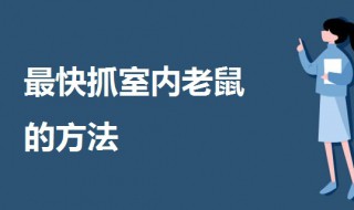 最快抓室内老鼠的方法 一起来了解一下