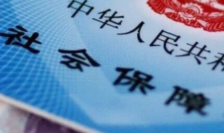 社保号怎么查询 社保编号如何查询