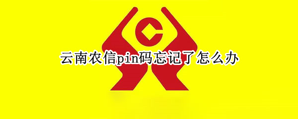 云南农信pin码忘记了怎么办（云南农信pin码怎么重设）