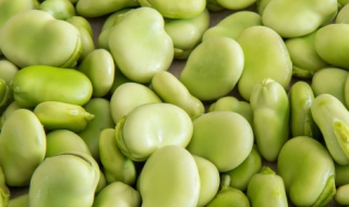 蚕豆怎么做好吃 蚕豆的做法大全