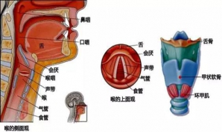 英语音标发音方法 你会吗