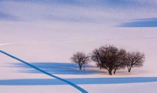 关于大雪节气的古诗 描写大雪古诗