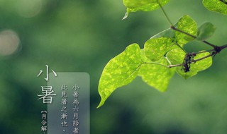 小暑下雨意味着什么 小暑节气介绍