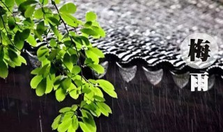 杭州梅雨季节是几月份 杭州梅雨季节时间