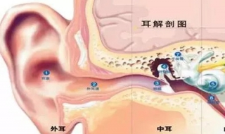 耳膜穿孔怎么办 ，三种不同原因导致的治疗方法