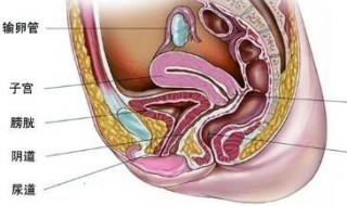 盆腔炎有什么症状 下面就来说说常见的几种