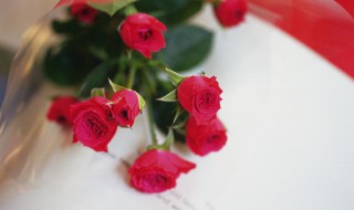 送花给女朋友送什么花 送什么花给女朋友最好