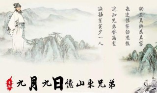 遍插茱萸少一人啥意思 九月九日忆山东兄弟原文