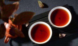 如何喝普洱茶 怎么正确喝普洱茶