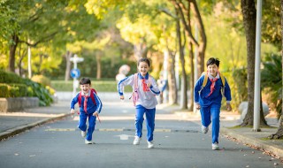 胖大海泡水小孩能喝吗 胖大海泡水小孩能不能喝