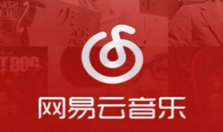 网易云音乐怎么看歌词 方法大盘点